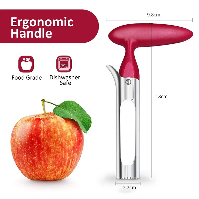 ที่คว้านแอปเปิ้ลแบบพรีเมียม สแ - Apple Corer Slicer บทวิจารณ์และราคา