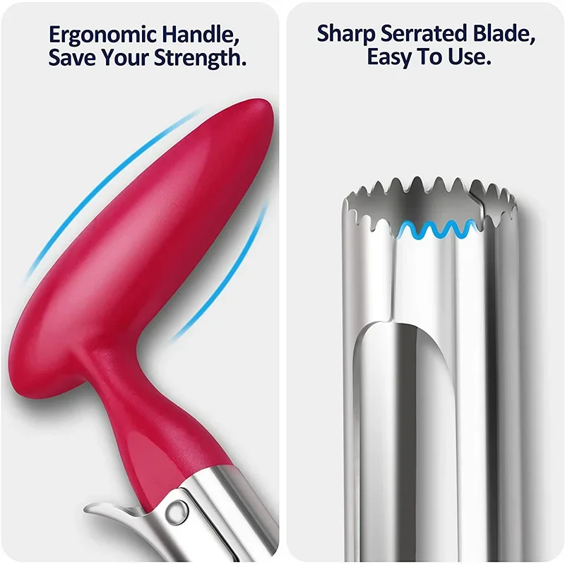 ที่คว้านแอปเปิ้ลแบบพรีเมียม สแ - Apple Corer Slicer บทวิจารณ์และราคา