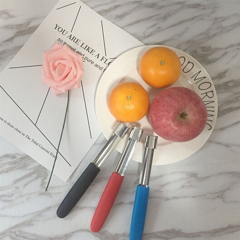 ที่คว้านผลไม้ แอปเปิ้ล แพร์ สแ - Apple Corer Slicer บทวิจารณ์และราคา